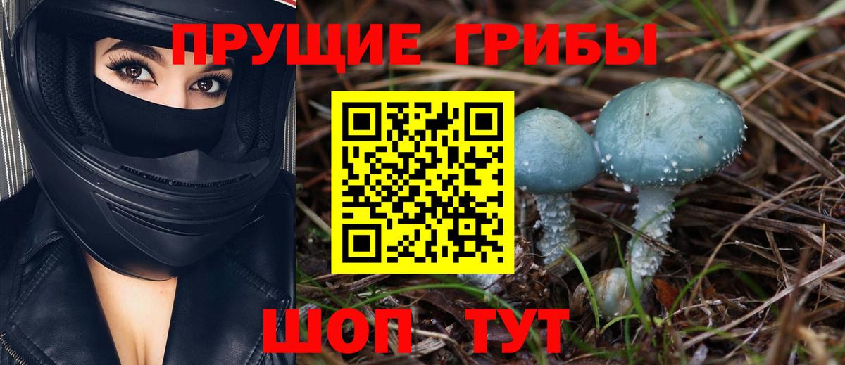Псилоцибиновые грибы MAGIC MUSHROOMS  Галлюциногенные грибы Cubensis  Вход с VPN  Аксай 